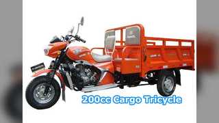 200cc Cargo Tricycle Double Seats Middle East