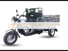 Three Wheel Motorized Cargo Tricycle 175CC Air Cooling CDI Ignition