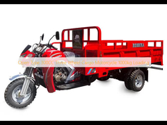 Open Type 300CC Three Wheel Cargo Motorcycle 1000kg Loading