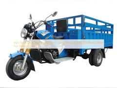 Iron Shaft Drive Motorized 250cc Cargo Tricycle With Differential Axle For Heavy Loading