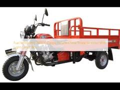 Fuel Motorized 200CC Cargo Tricycle China Three Wheeler With Light Cargo Box