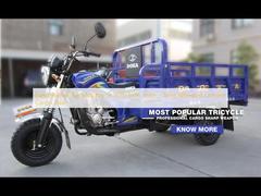 Gasoline Tuk Tuk Motorcycle With Side Seats , Three Wheeled Chinese Cargo Trike