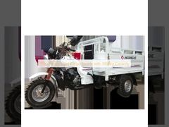 150cc Heavy Load Cargo Tricycle with 3000kg Capacity