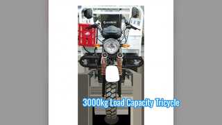 3000kg Cargo Tricycle Heavy Load 150cc