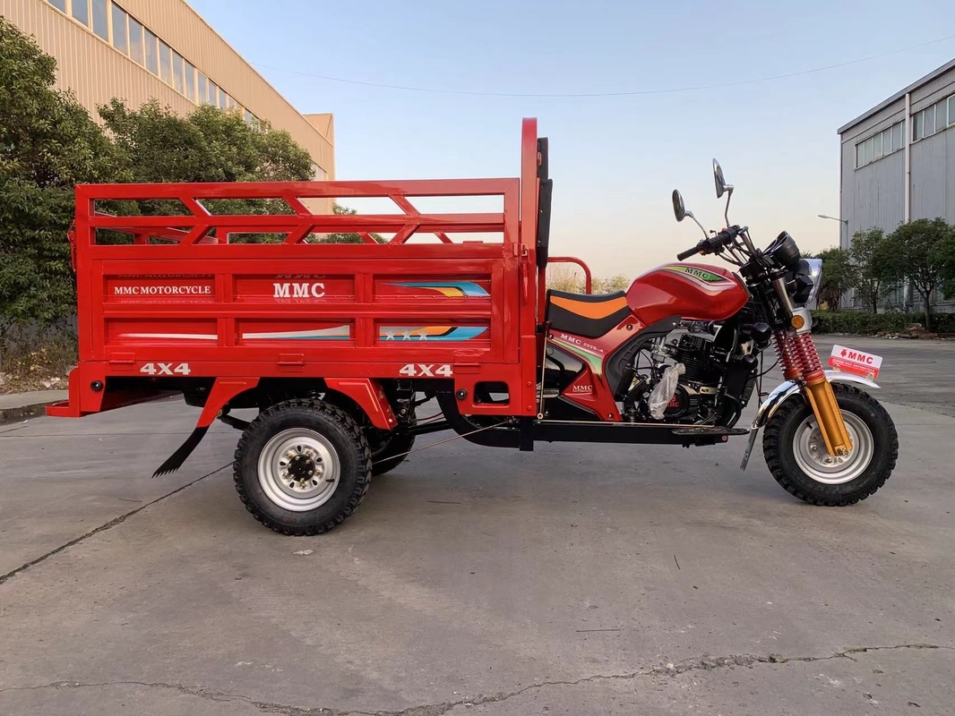 1000 Kg Max Loading 3 Wheel Cargo Motorcycle with CKD Packing Method and High Loading Capacity