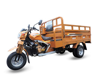 Luxury Carriage Motorized Cargo Tricycle / Automatic 3 Wheel Motorcycle 250cc